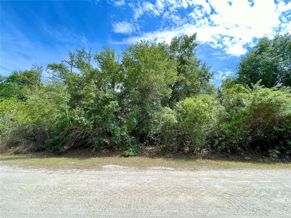 En Venta: $9,900 (0.11 acres)