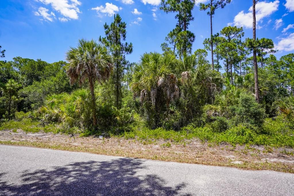 Active With Contract: $17,000 (0.23 acres)