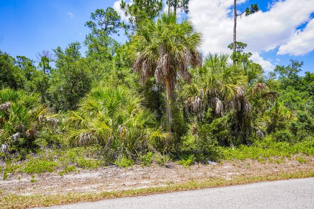 Active With Contract: $17,000 (0.23 acres)