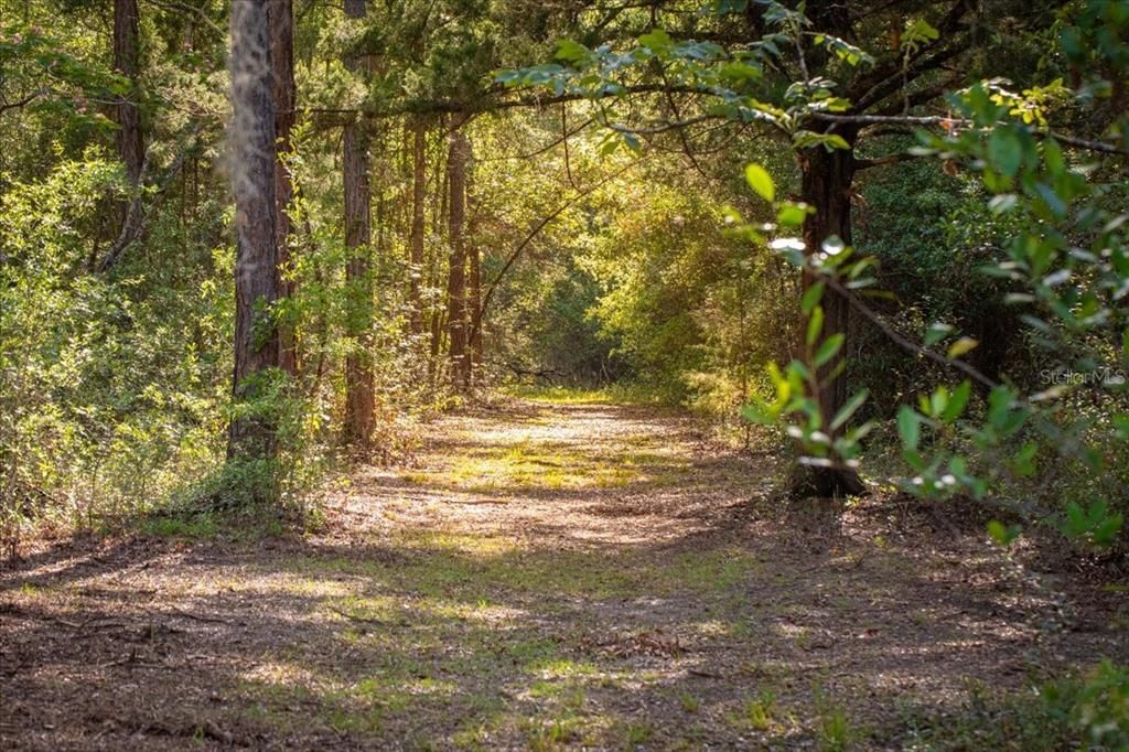 En Venta: $449,500 (20.00 acres)