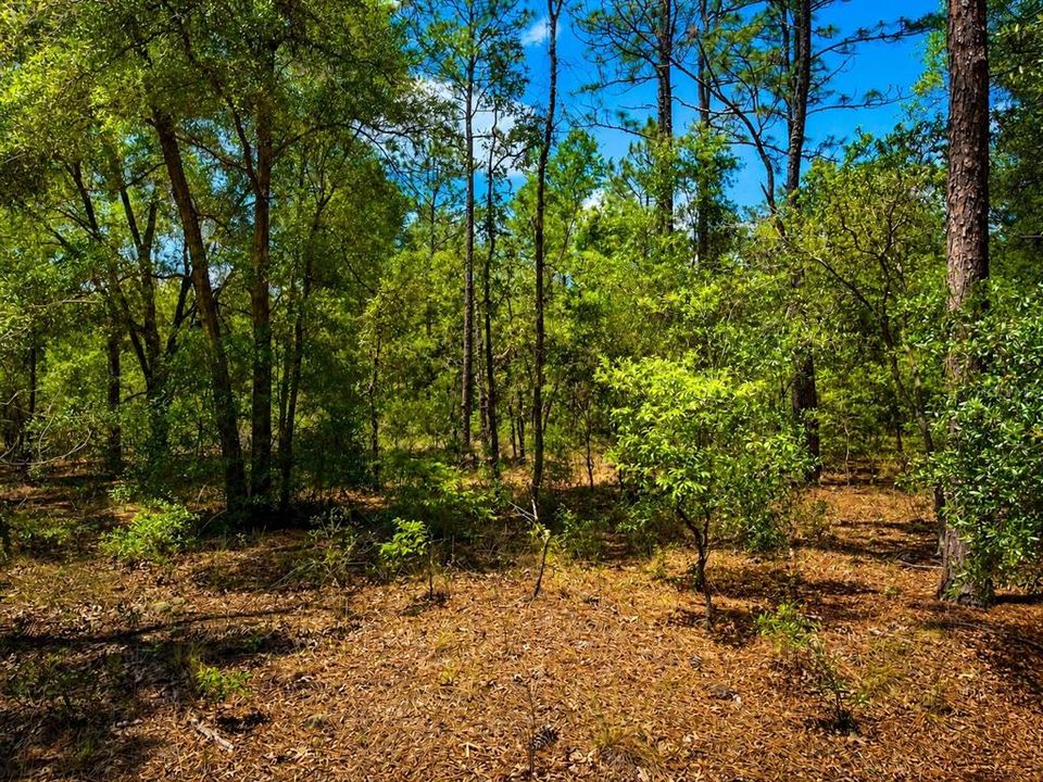 Active With Contract: $79,900 (2.32 acres)