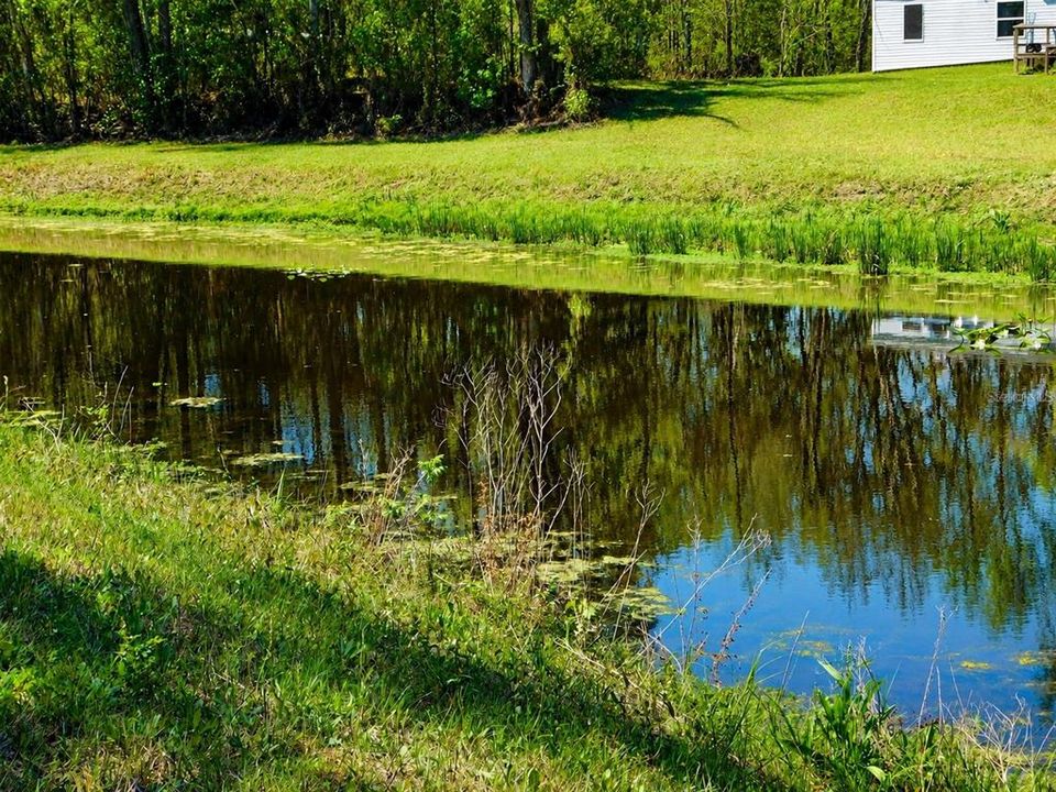 На продажу: $29,000 (1.67 acres)