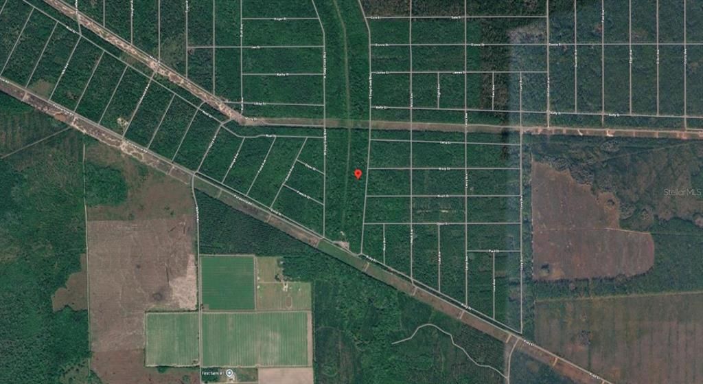 На продажу: $29,000 (1.67 acres)