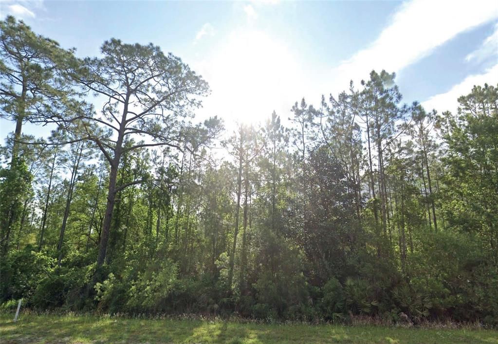 For Sale: $13,000 (0.59 acres)
