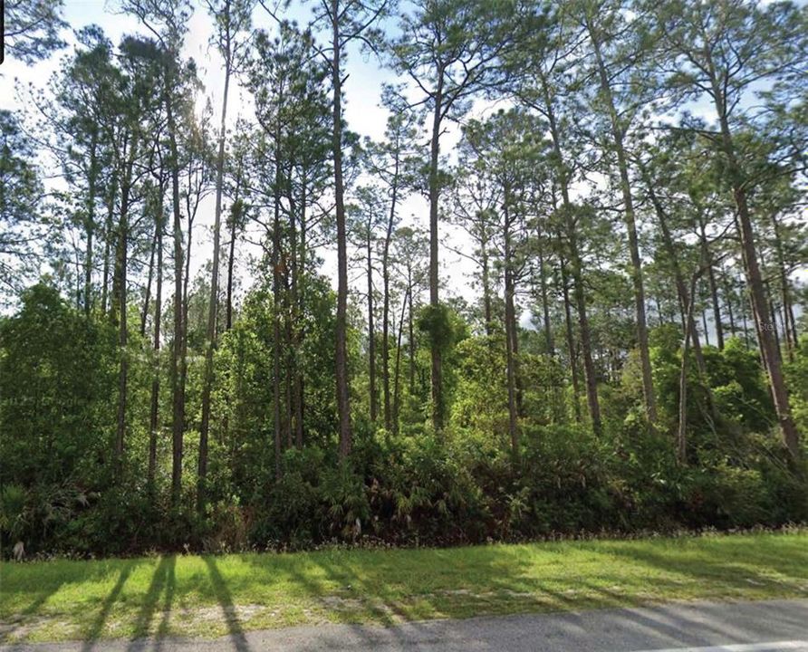For Sale: $13,000 (0.52 acres)