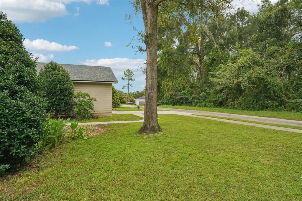 For Sale: $290,000 (3 beds, 2 baths, 1620 Square Feet)
