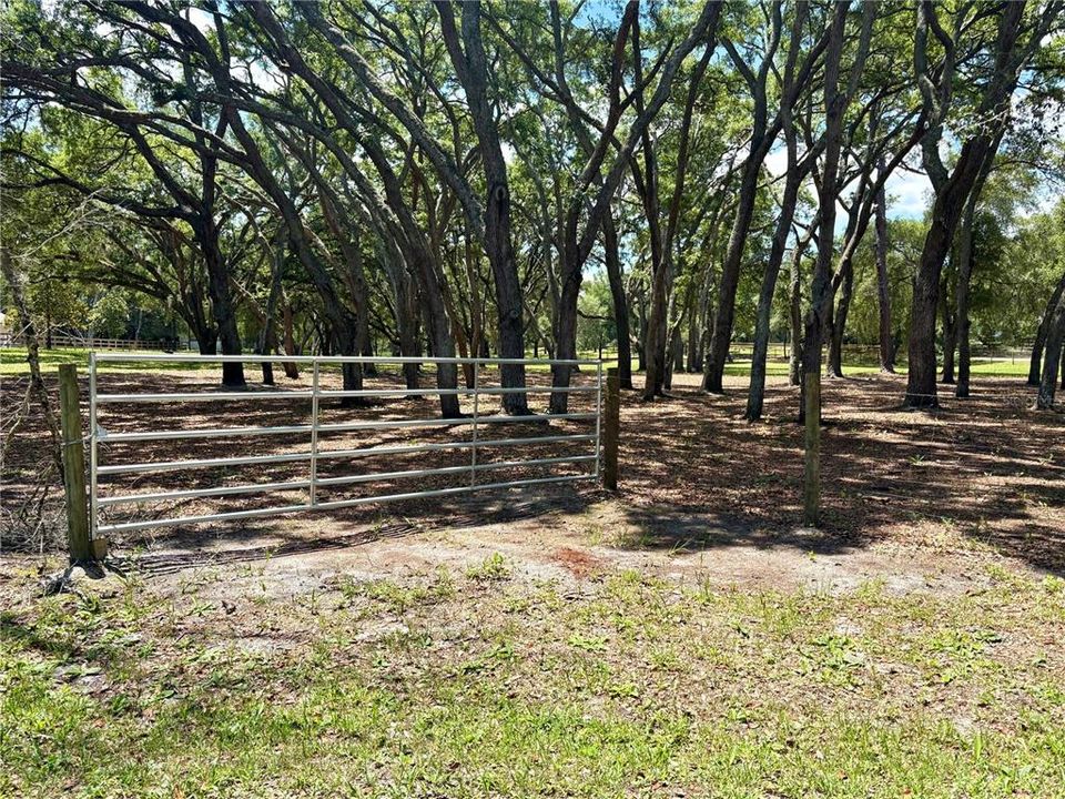 На продажу: $350,000 (3.39 acres)