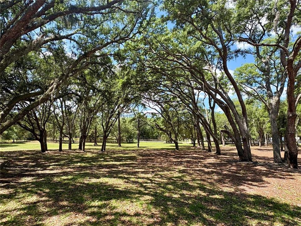 На продажу: $350,000 (3.39 acres)