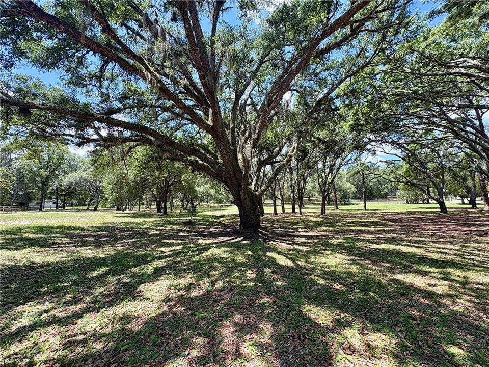 На продажу: $350,000 (3.39 acres)