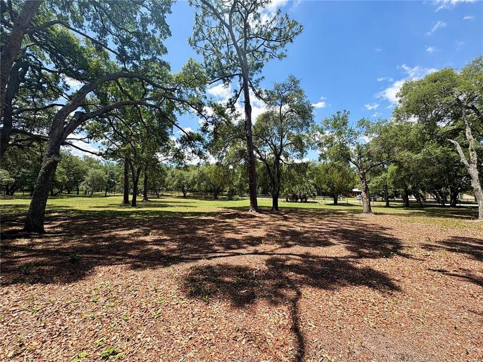 На продажу: $350,000 (3.39 acres)