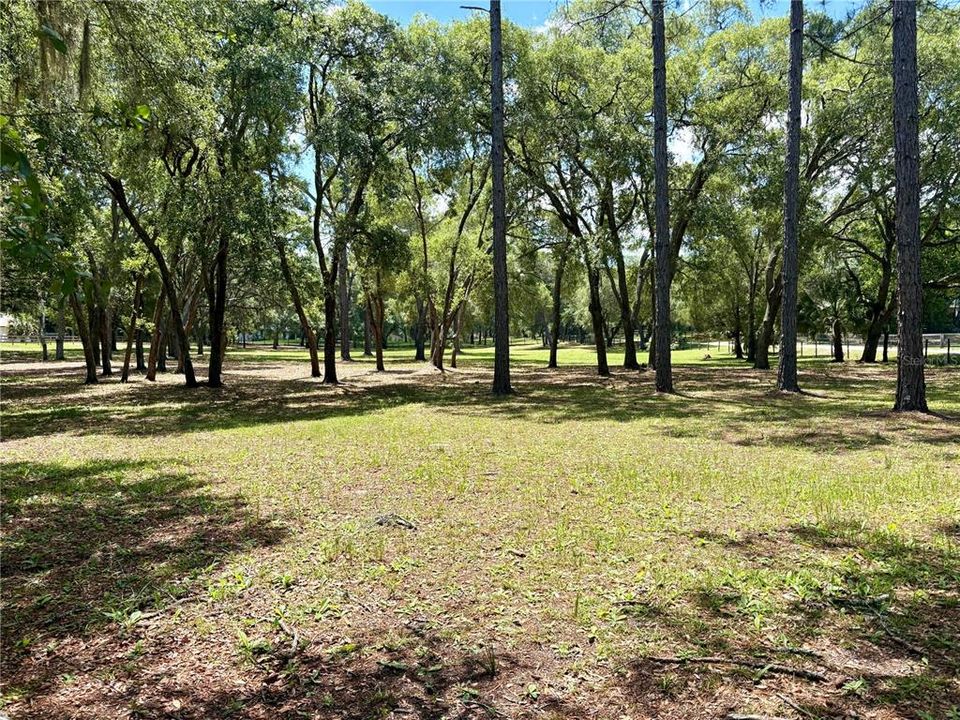 На продажу: $350,000 (3.39 acres)