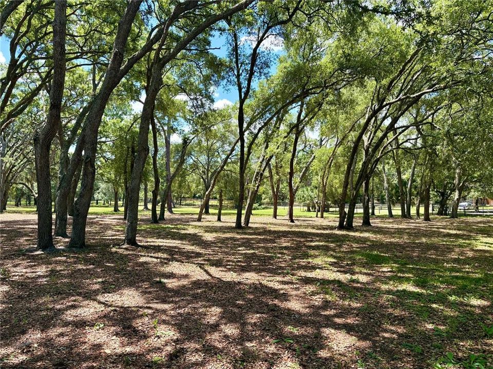 На продажу: $350,000 (3.39 acres)