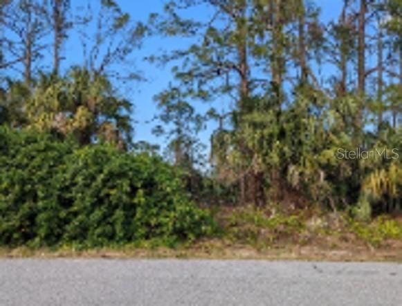 待售: $28,000 (0.23 acres)