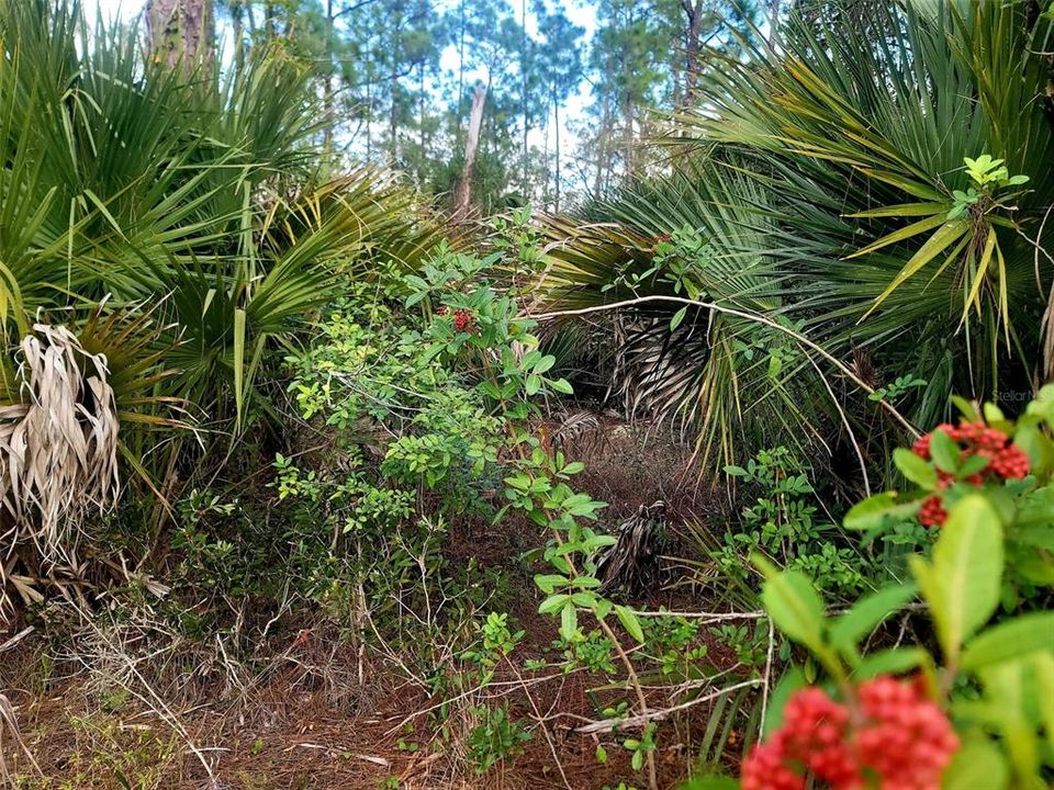 待售: $29,900 (0.30 acres)