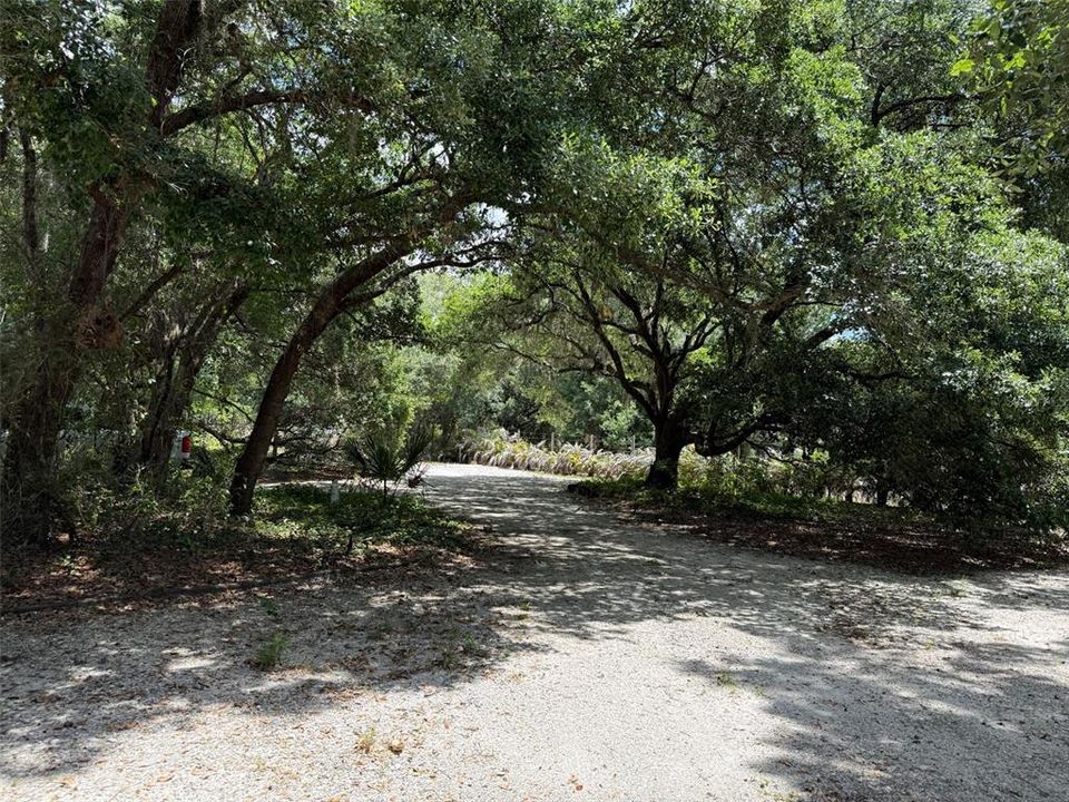 For Sale: $99,900 (1.25 acres)