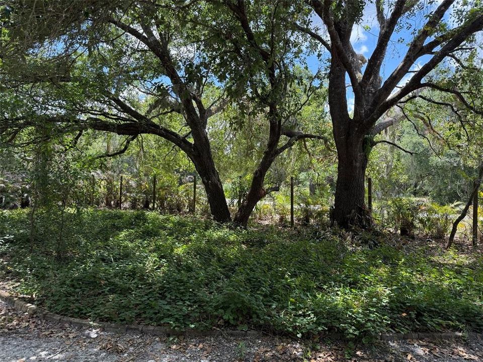 For Sale: $99,900 (1.25 acres)