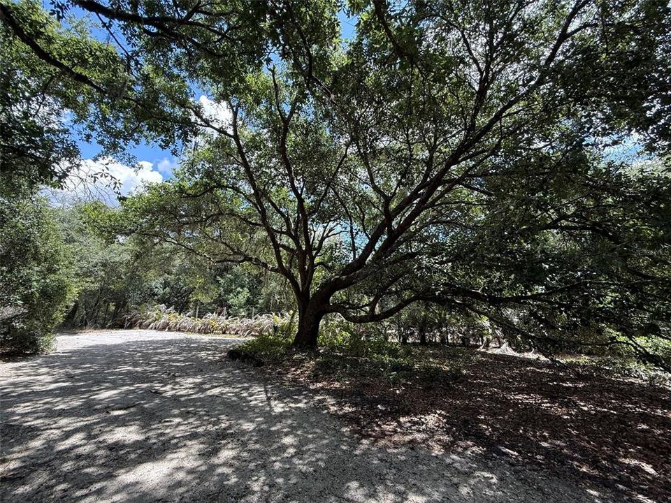For Sale: $99,900 (1.25 acres)