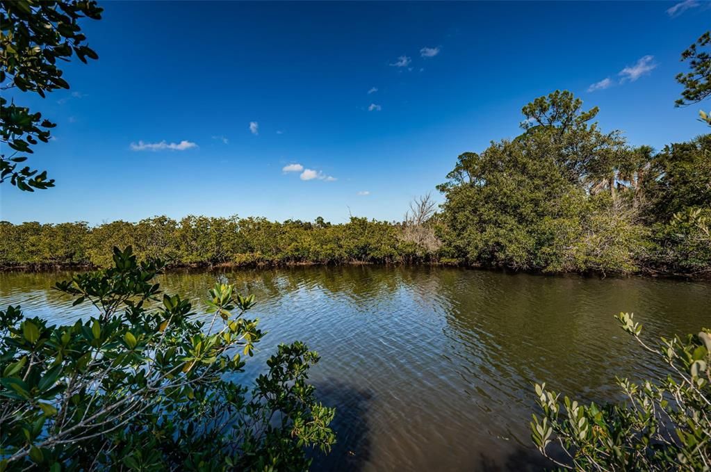 На продажу: $195,000 (0.31 acres)