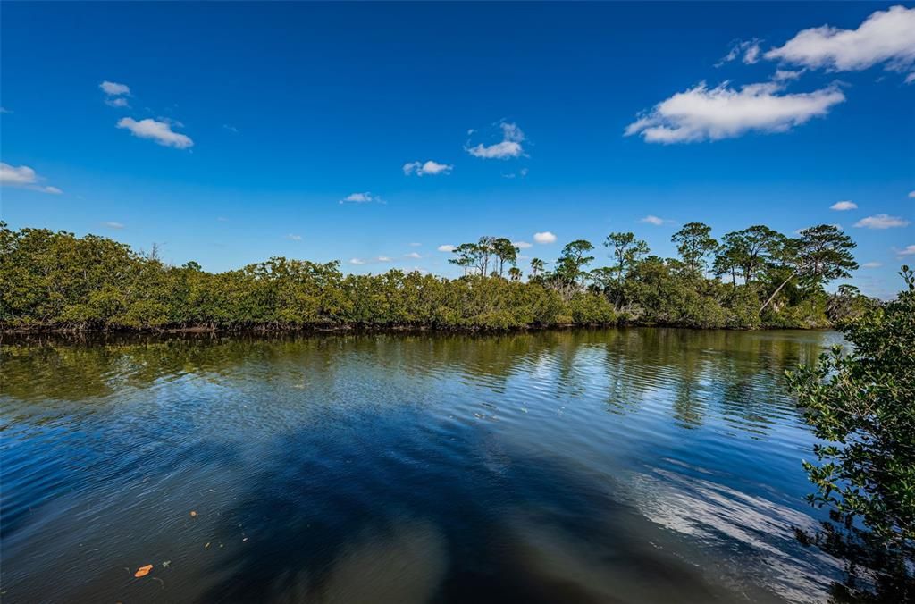 На продажу: $195,000 (0.31 acres)