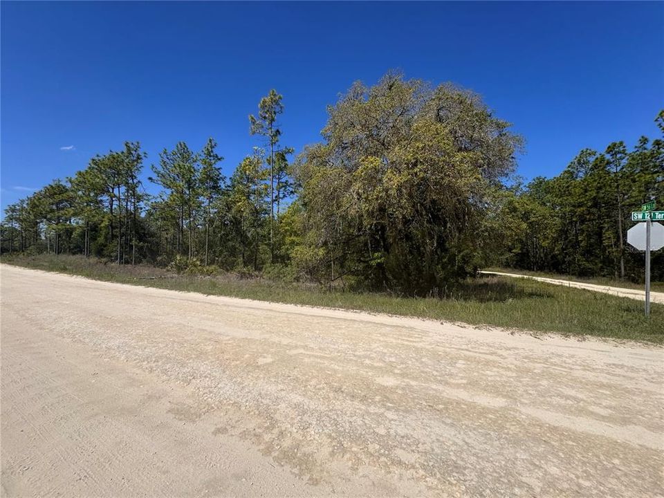 На продажу: $68,000 (1.21 acres)