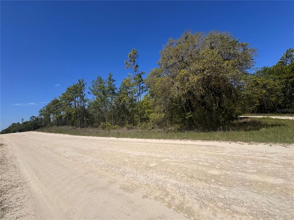 На продажу: $68,000 (1.21 acres)