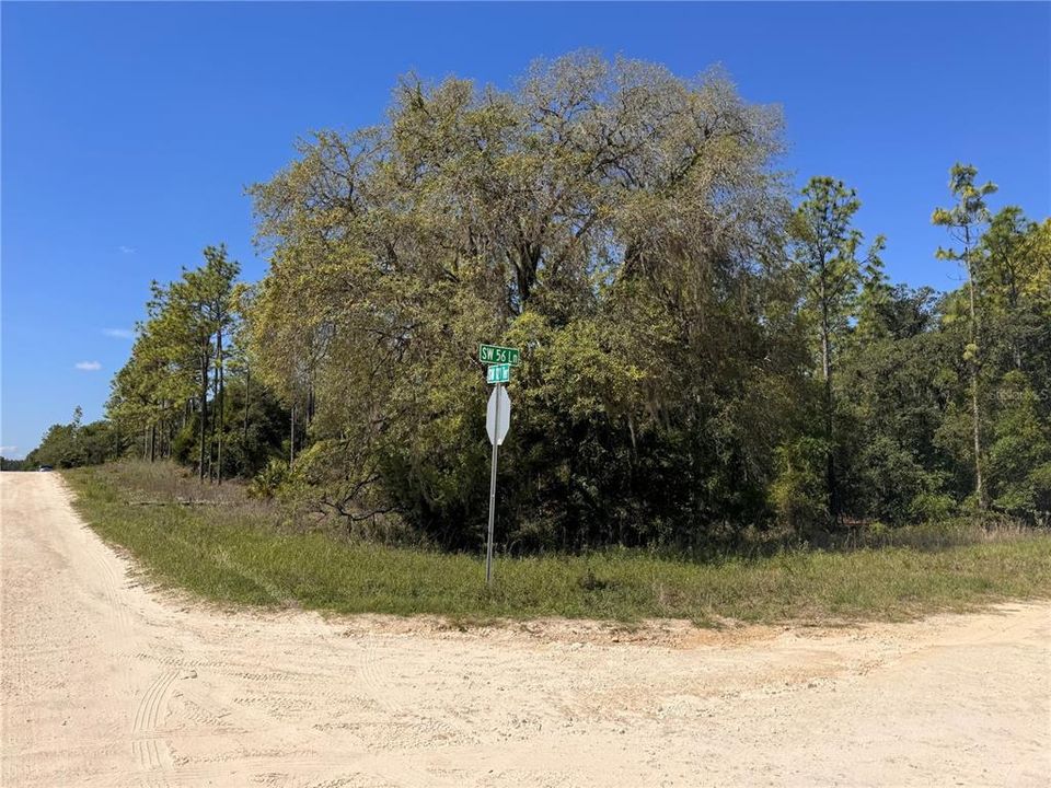 На продажу: $68,000 (1.21 acres)