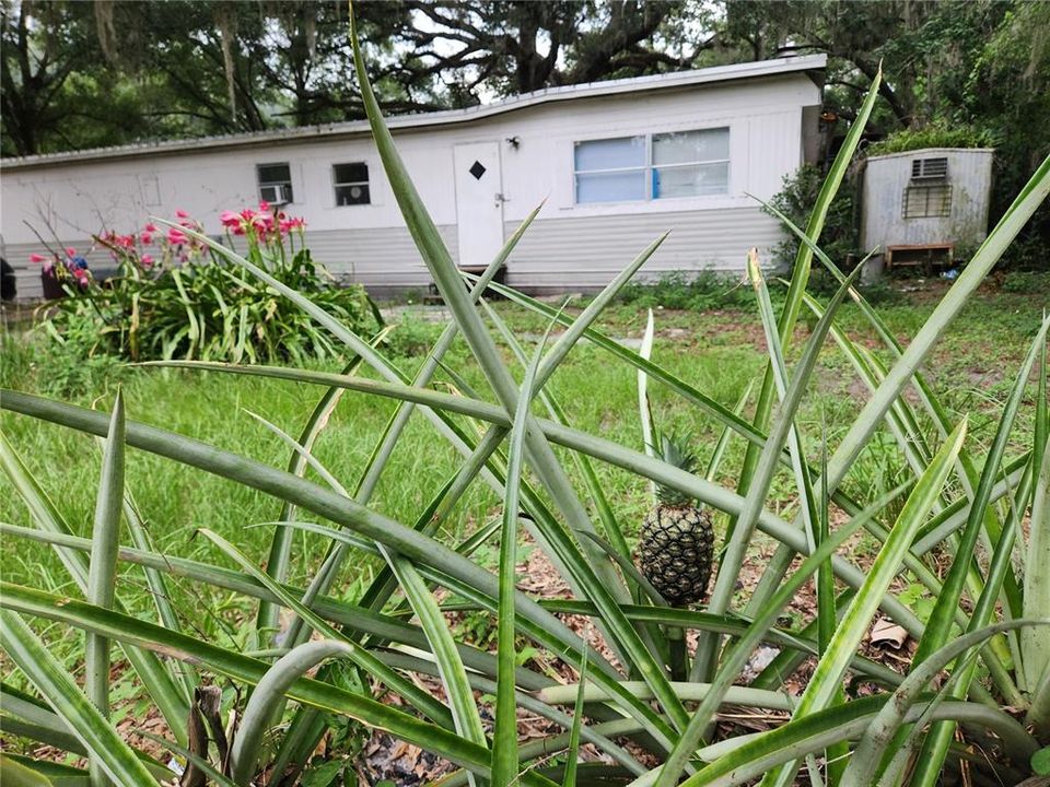 For Rent: $2,400 (3 beds, 2 baths, 1344 Square Feet)