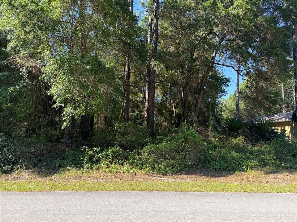 For Sale: $25,000 (0.23 acres)
