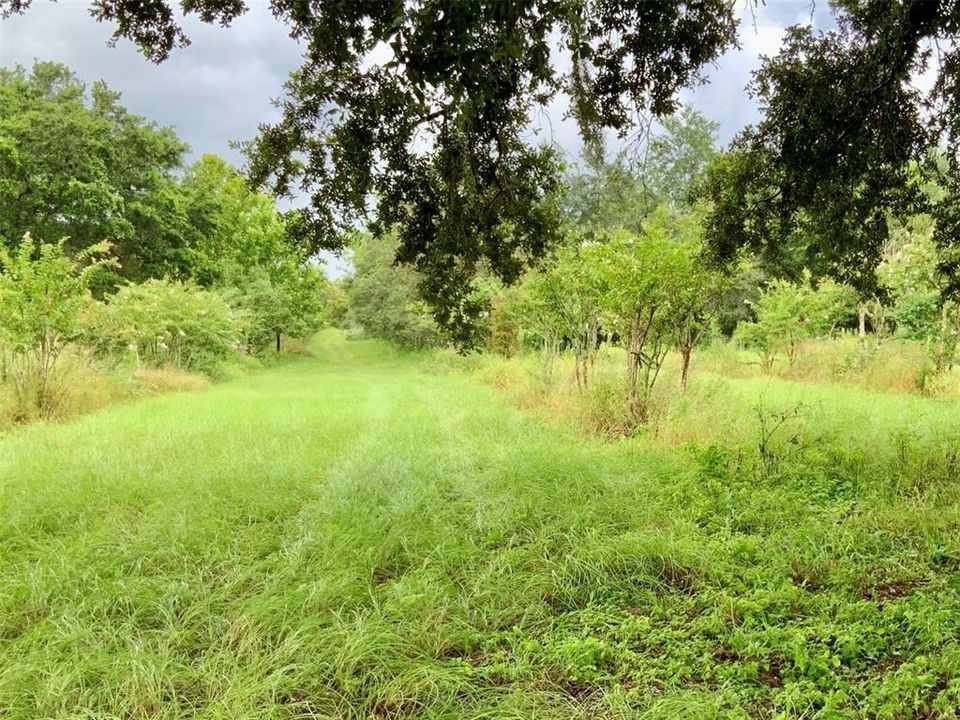 En Venta: $995,000 (9.09 acres)