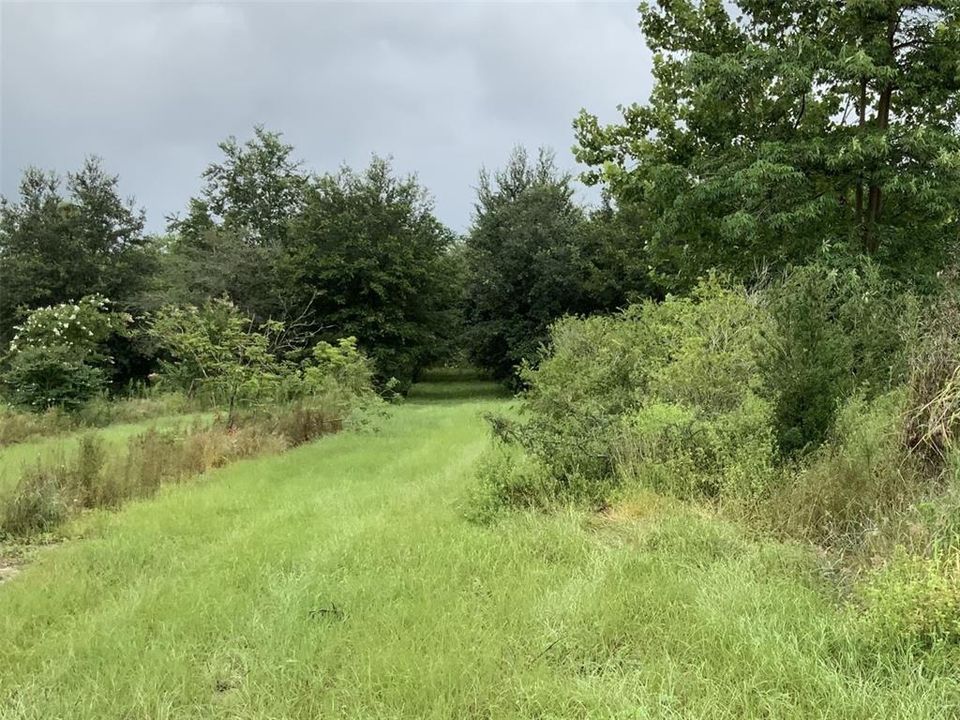 En Venta: $995,000 (9.09 acres)