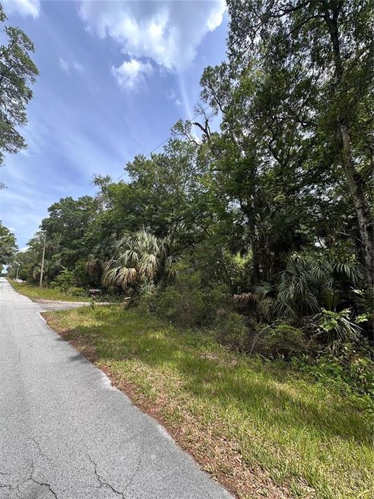 For Sale: $189,000 (4.80 acres)