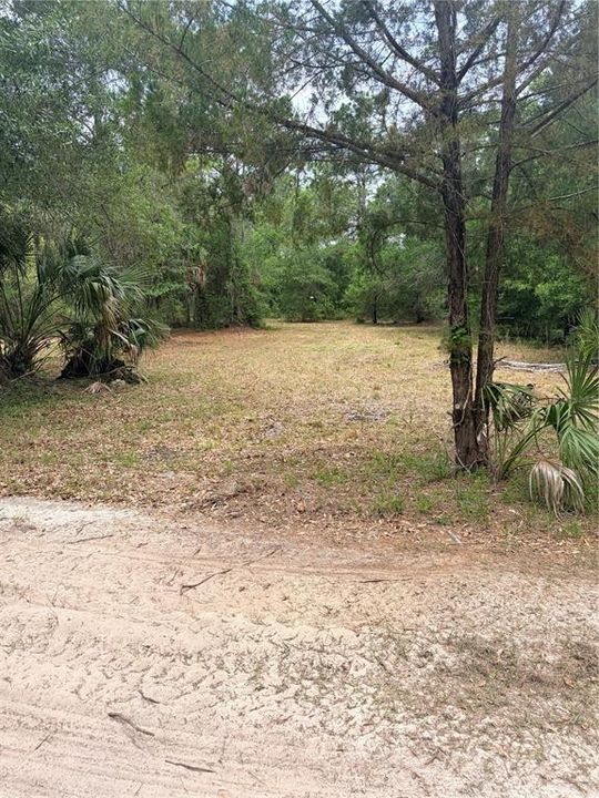 For Sale: $189,000 (4.80 acres)