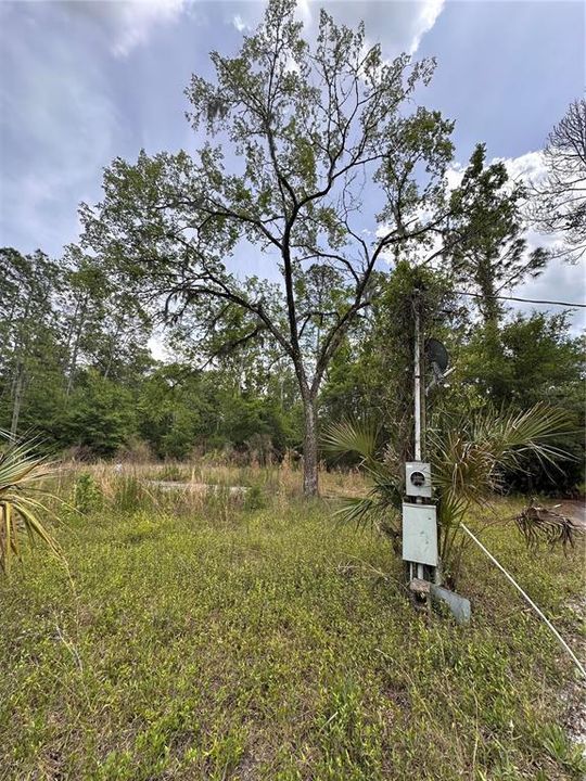 For Sale: $189,000 (4.80 acres)