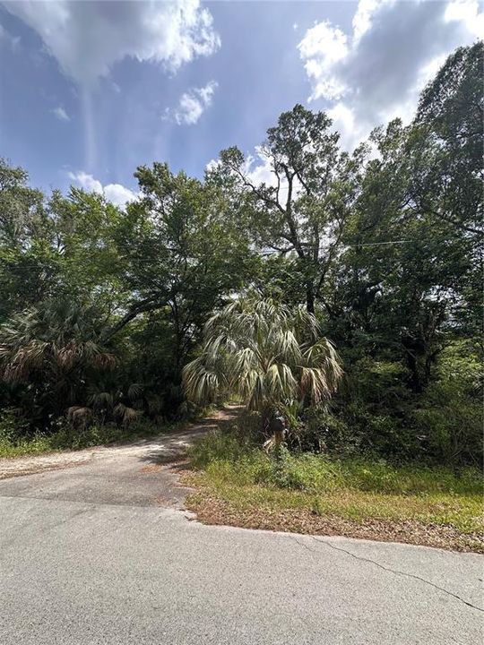 For Sale: $189,000 (4.80 acres)