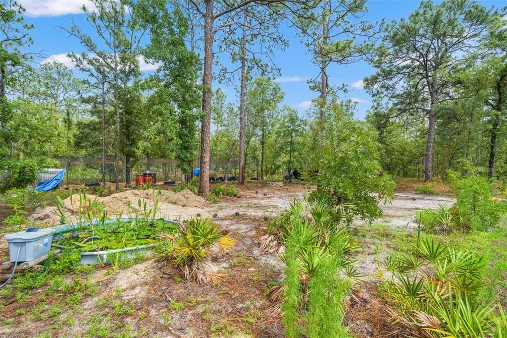 For Sale: $385,000 (4 beds, 2 baths, 1759 Square Feet)
