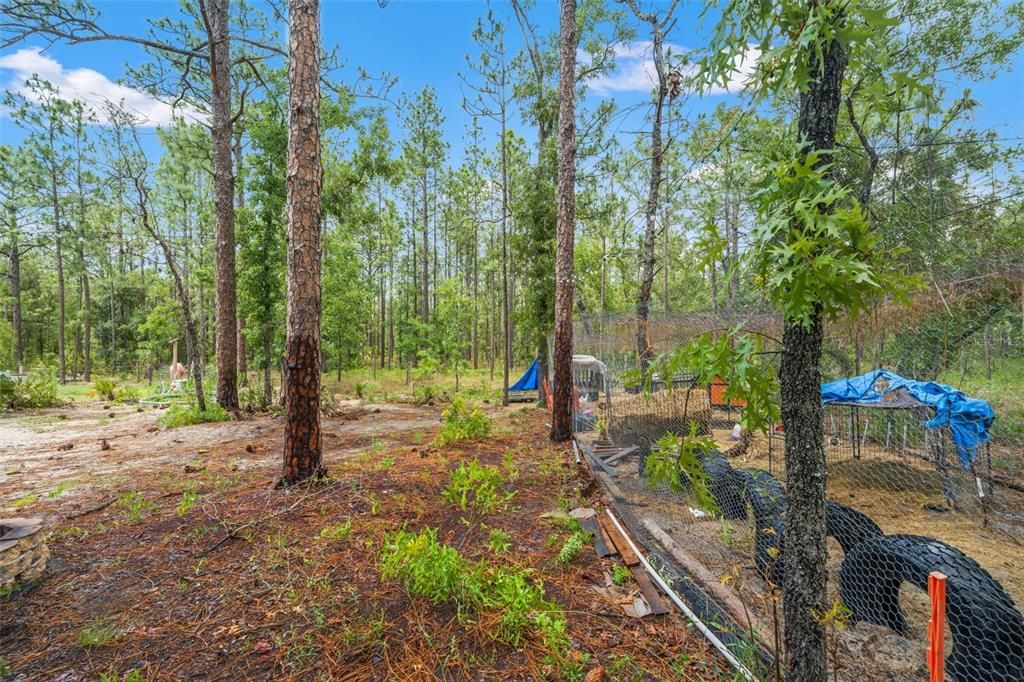 For Sale: $385,000 (4 beds, 2 baths, 1759 Square Feet)