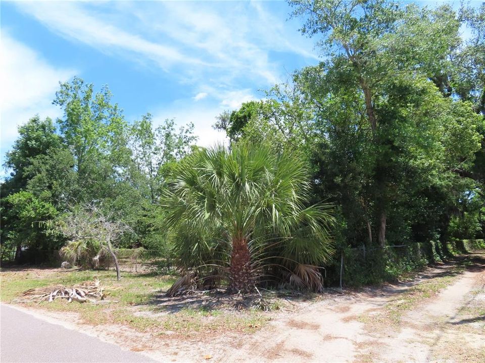 待售: $1,500,500 (0.95 acres)