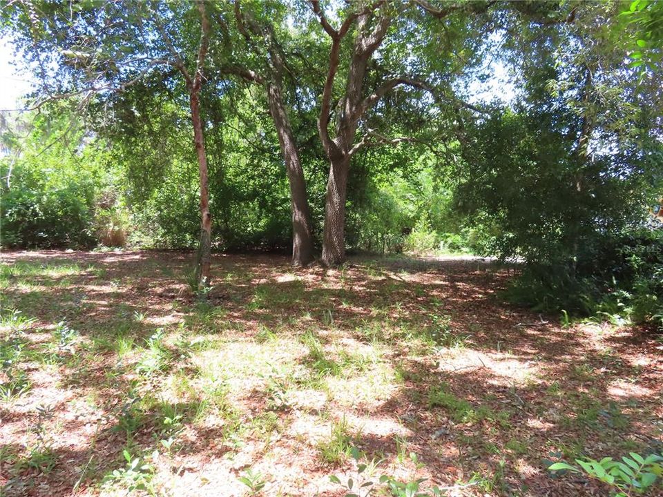 待售: $1,500,500 (0.95 acres)