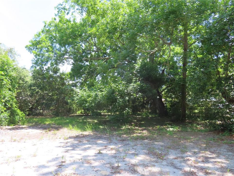 待售: $1,500,500 (0.95 acres)
