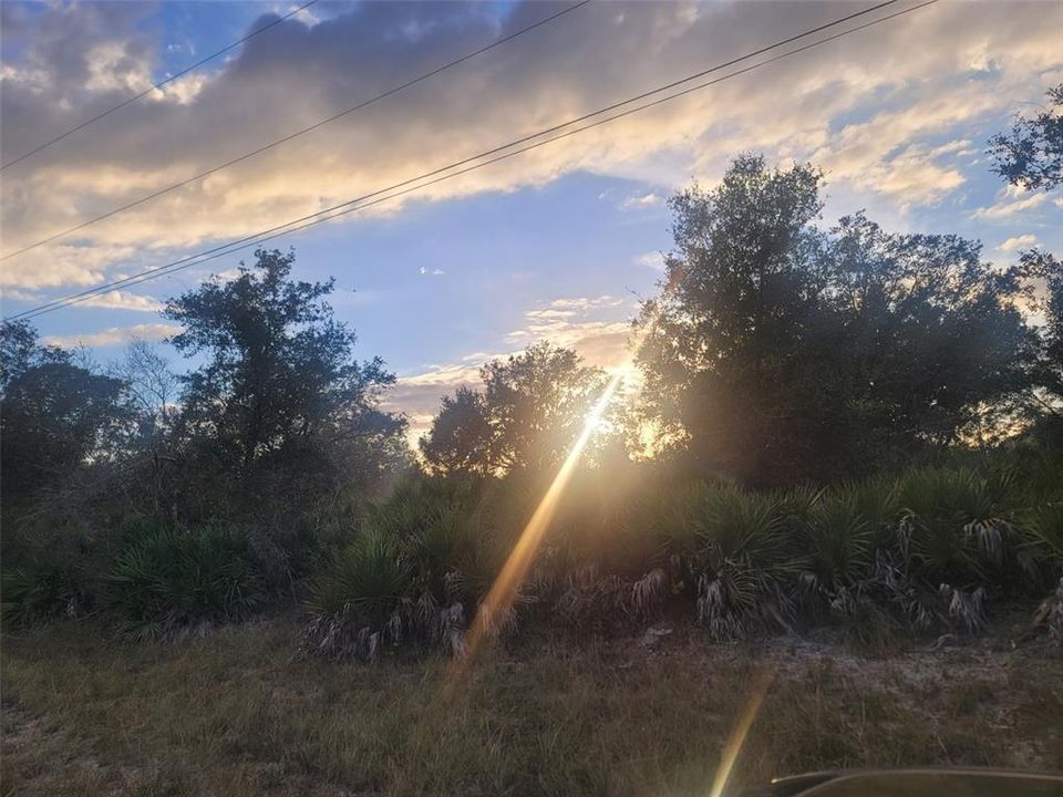 待售: $26,900 (0.29 acres)