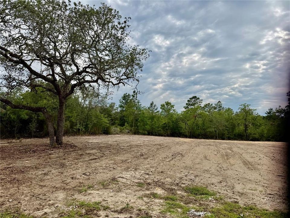 待售: $49,900 (1.25 acres)