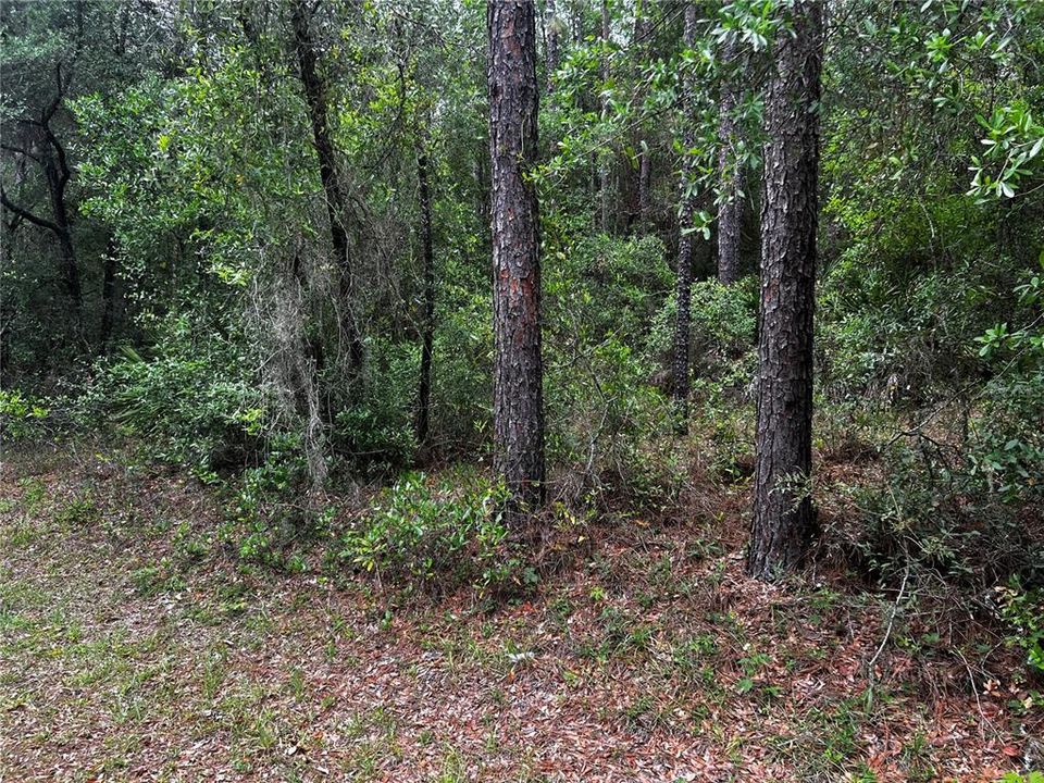 На продажу: $115,000 (2.10 acres)