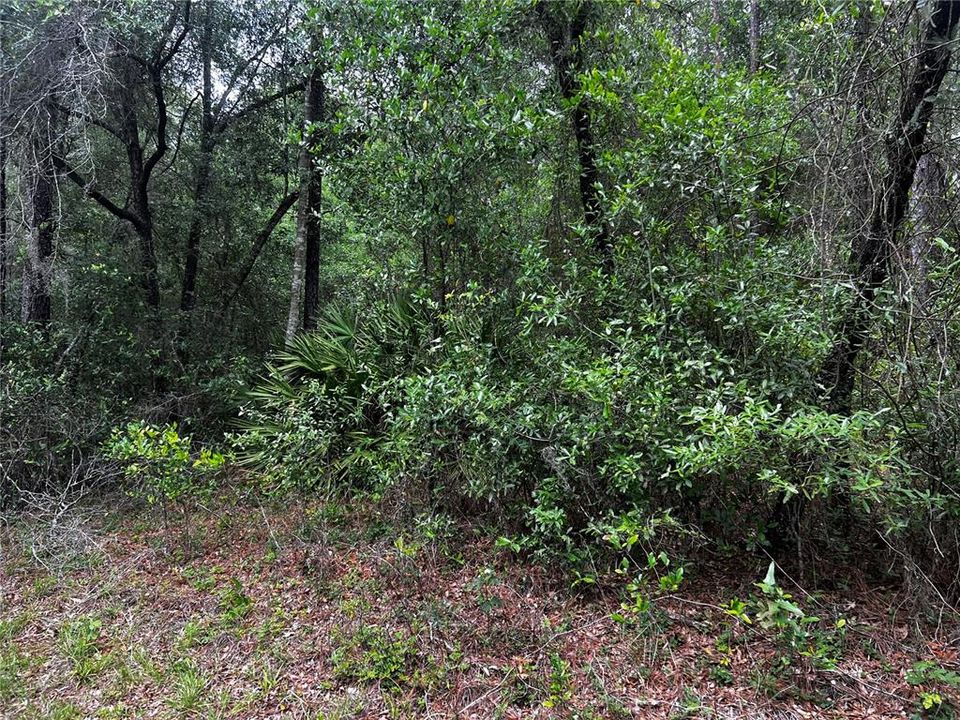 На продажу: $115,000 (2.10 acres)