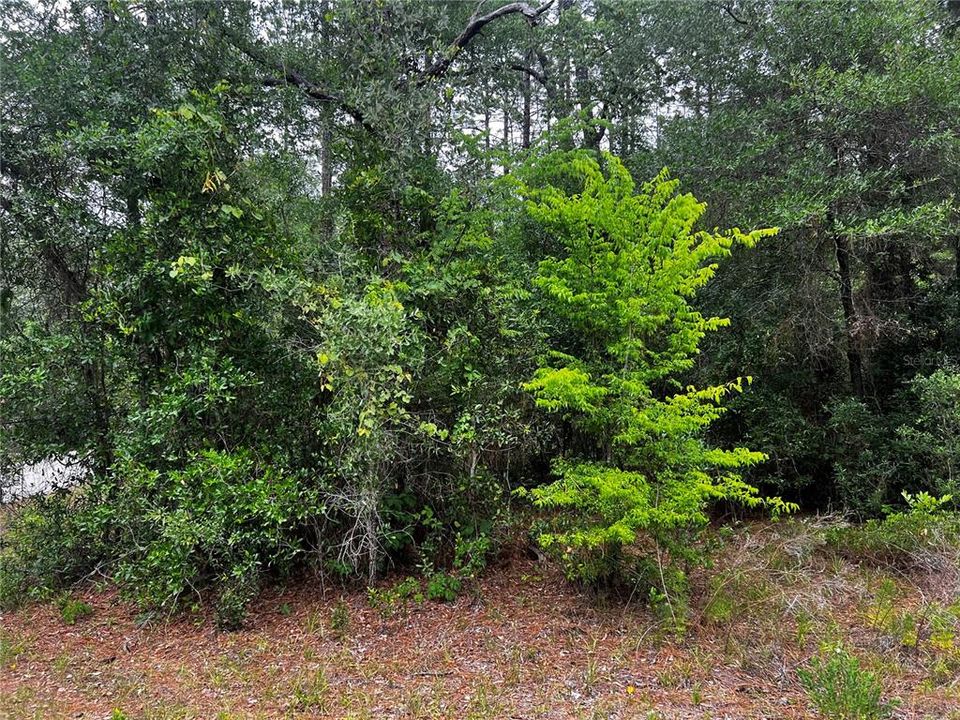 На продажу: $115,000 (2.10 acres)