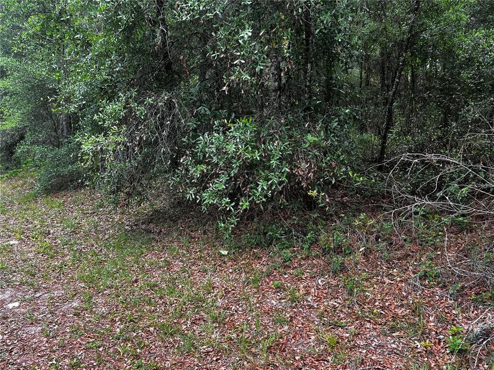 На продажу: $115,000 (2.10 acres)