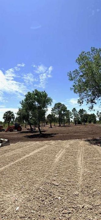 For Sale: $47,500 (1.25 acres)