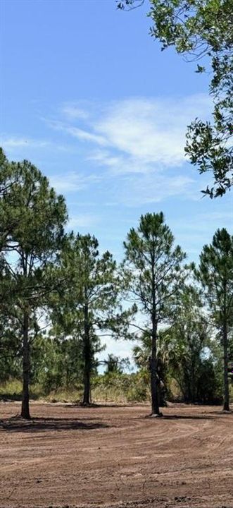 For Sale: $47,500 (1.25 acres)