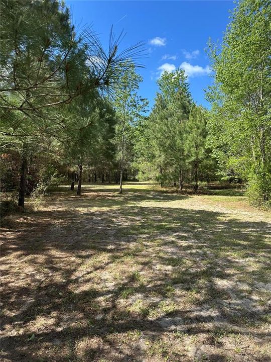 待售: $525,000 (11.30 acres)