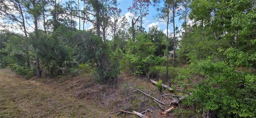 For Sale: $11,900 (0.17 acres)