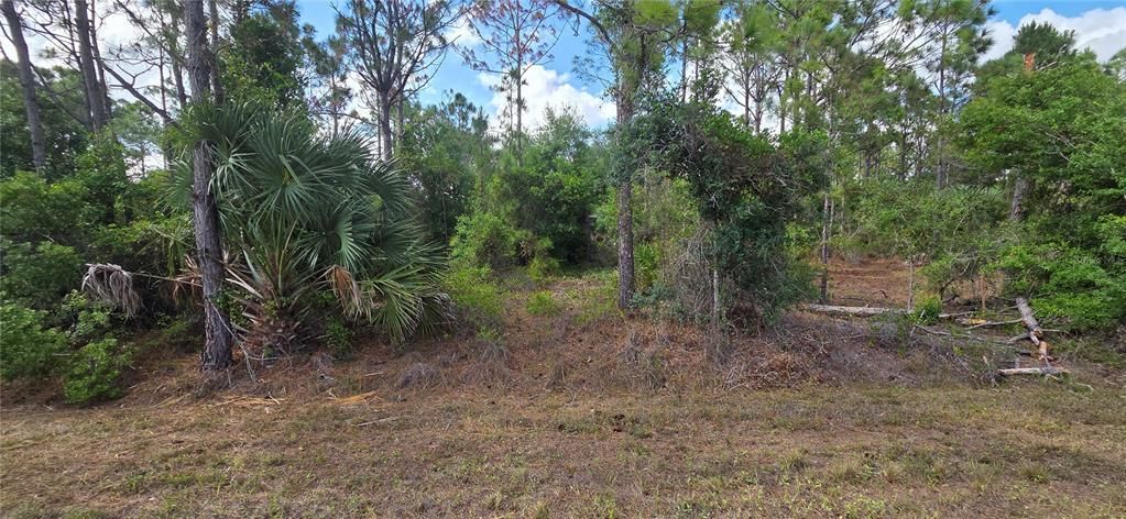 For Sale: $11,900 (0.17 acres)